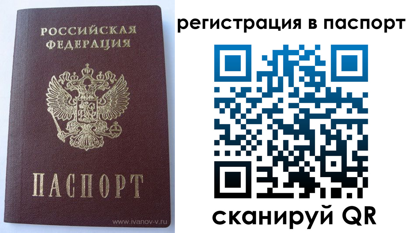 прописка поиск в Людиново